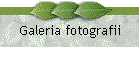 Galeria fotografii