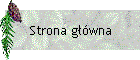 Strona gwna