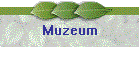 Muzeum